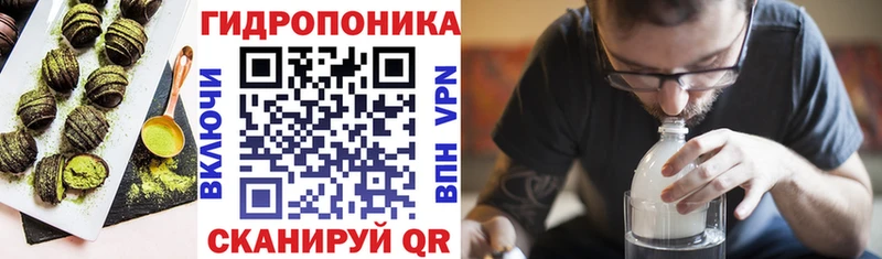 mega ССЫЛКА  Вышний Волочёк  мориарти какой сайт  Cannafood марихуана 