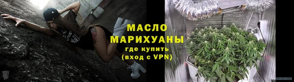 гашик Бородино