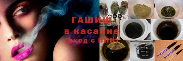 гашик Бородино