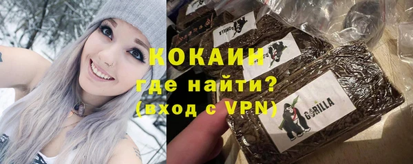 гашик Бородино