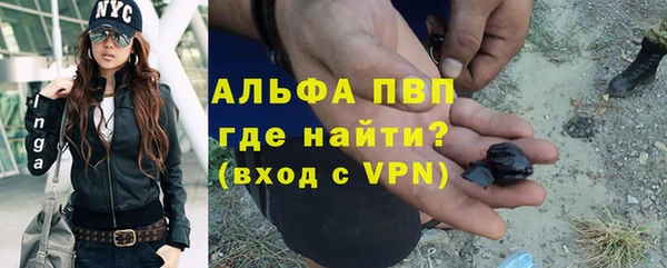 гашик Бородино