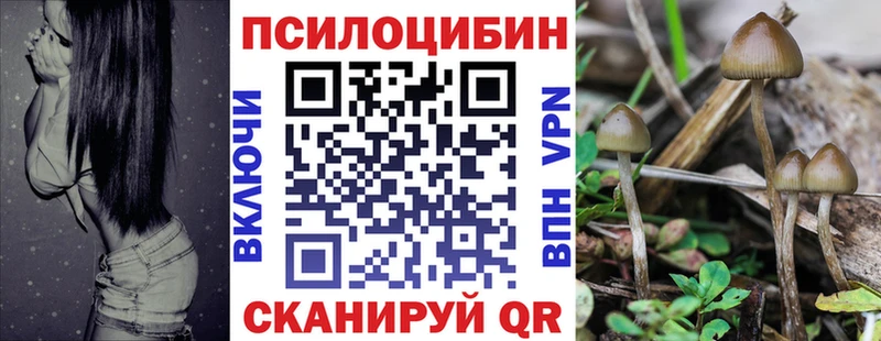 Псилоцибиновые грибы мицелий  omg зеркало  Вышний Волочёк 